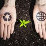 Sustainable subscriptions: How to improve your business to be more green Here’s how to improve your company to meet new customer expectations around sustainability and zero-waste.